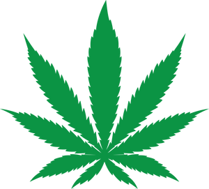 Cannabis Leaf Illustration